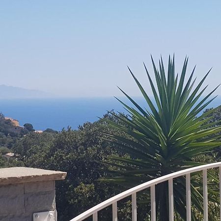Bas De Villa Chez Mr.Girolami Dominique バスティア エクステリア 写真