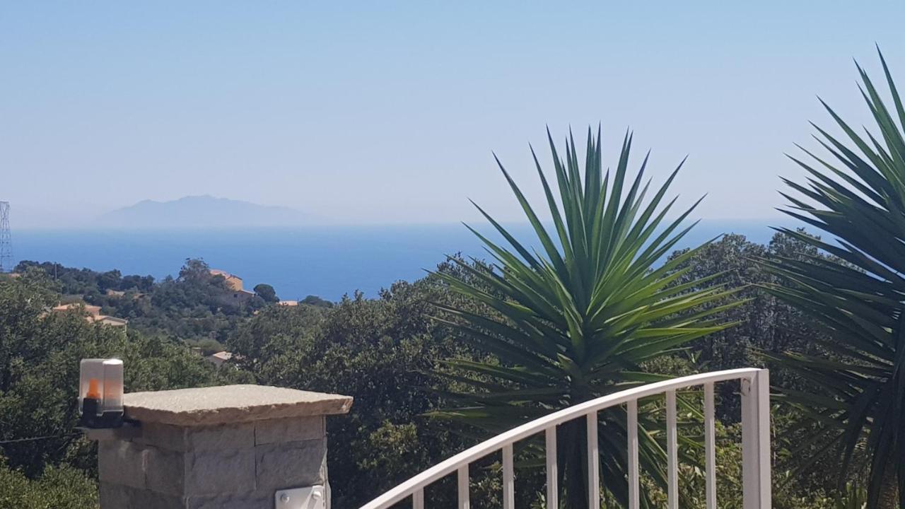 Bas De Villa Chez Mr.Girolami Dominique バスティア エクステリア 写真