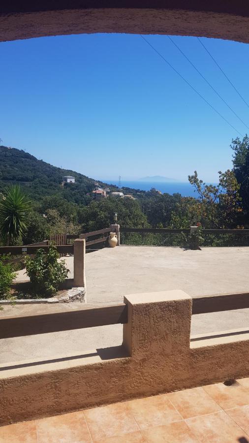 Bas De Villa Chez Mr.Girolami Dominique バスティア エクステリア 写真