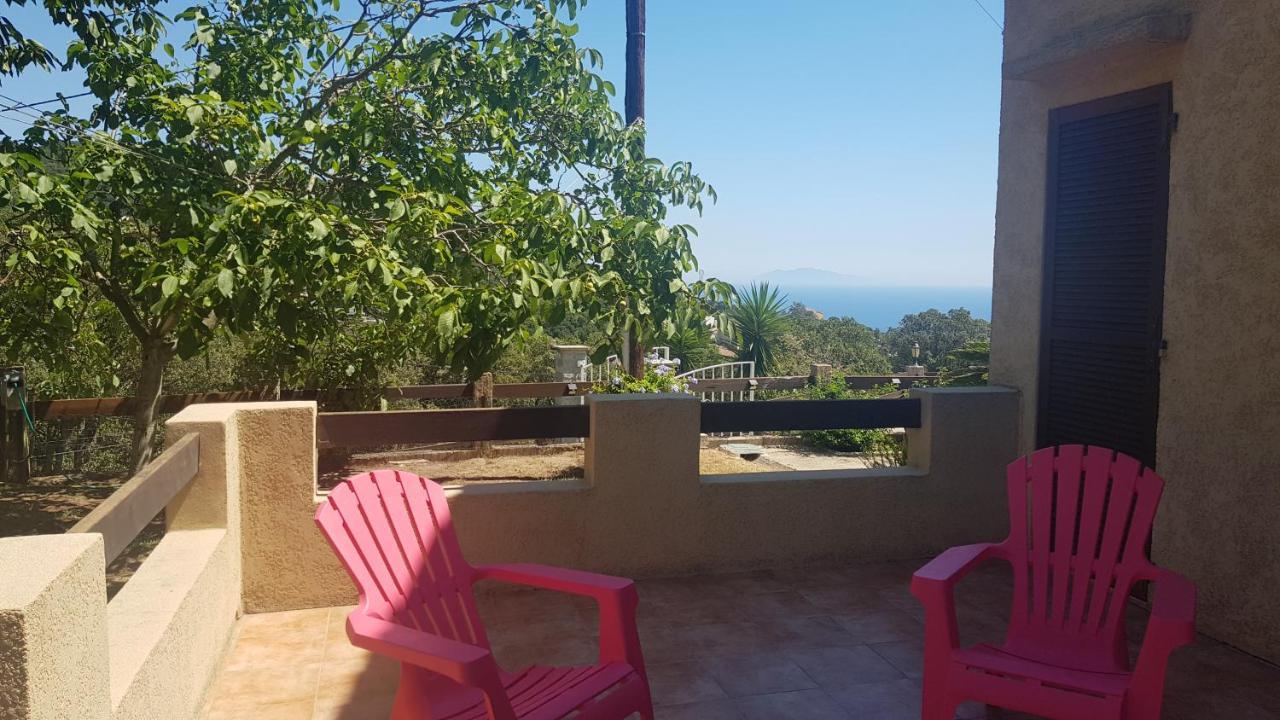 Bas De Villa Chez Mr.Girolami Dominique バスティア エクステリア 写真